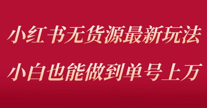 （第1249期）小红书无货源最新螺旋起号玩法，电商小白也能做到单号上万【外面收费3980元】