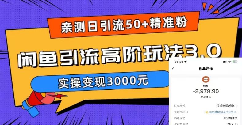 （第1335期）亲测日引50+精准粉，闲鱼引流高阶玩法3.0，实操变现3000元【揭秘】