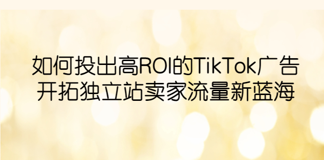 （第1672期）如何投出高ROI·TikTok广告，开拓独立站卖家流量新蓝海