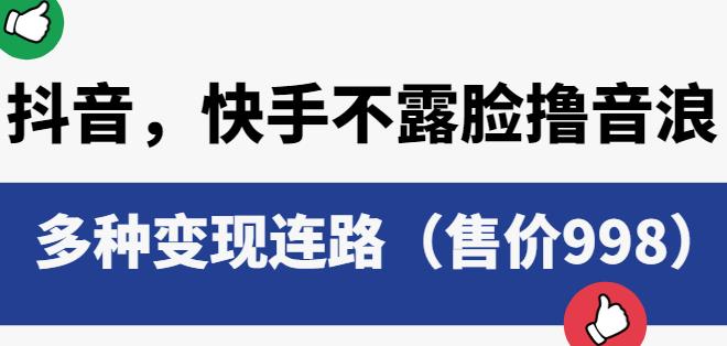 （第1723期）抖音快手不露脸撸音浪项目，多种变现连路（售价998）