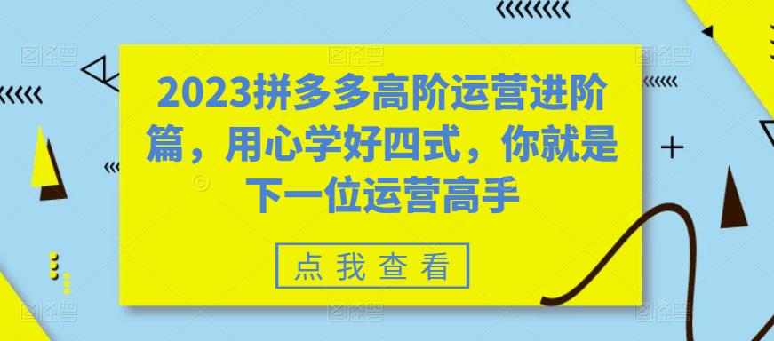 （第1767期）2023拼多多高阶运营进阶篇，用心学好四式，你就是下一位运营高手