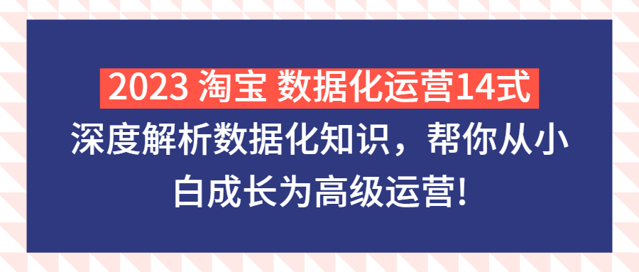 （第2056期）2023淘宝数据化运营14式，深度解析数据化知识，帮你从小白成长为高级运营