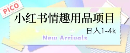 （第2170期）最新小红书情趣用品项目，日入1-4k【仅揭秘】