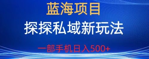 （第2299期）蓝海项目，探探私域新玩法，一部手机日入500+很轻松【揭秘】