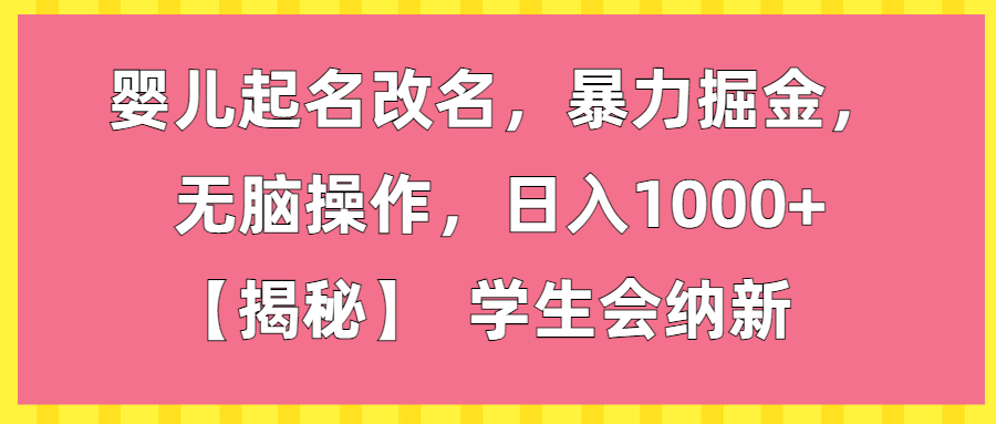 （第2346期）婴儿起名改名，暴力掘金，无脑操作，日入1000+【揭秘】