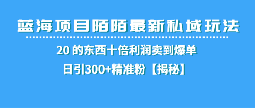 （第2135期）蓝海项目陌陌最新私域玩法，20 的东西十倍利润卖到爆单，日引300+精准粉【揭秘】