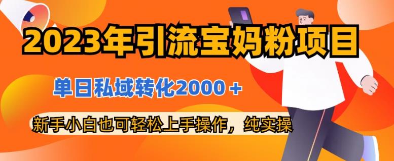 （第2677期）2023年引流宝妈粉项目，单日私域转化2000＋，新手小白也可轻松上手操作，纯实操