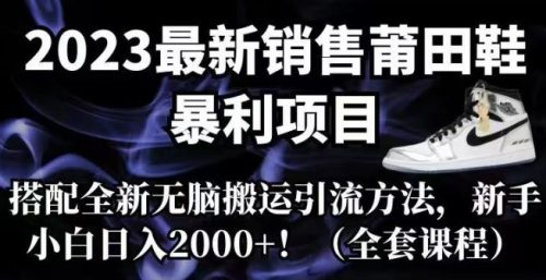 （第2718期）2023最新销售莆田鞋暴利项目，搭配全新无脑搬运引流方法，新手小白日入2000+【揭秘】