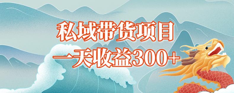 独孤私域带货蓝海项目，一天收益300+