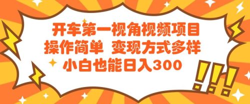 开车第一视角视频项目操作简单变现方式多样小白也能日入300