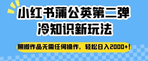 （第2875期）小红书蒲公英第二弹冷知识新玩法，照搬作品无需任何操作，轻松日入2000+