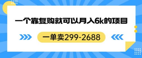 （第2922期）一单卖299-2688，一个靠复购就可以月入6k的暴利项目