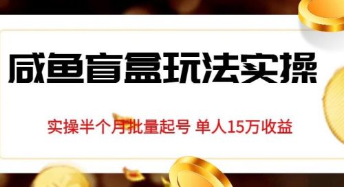 （第2940期）独家首发咸鱼盲盒玩法实操，半个月批量起号单人15万收益