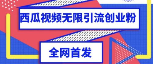 （第3349期）独家首发，西瓜视频无限引流任何精准粉脚本【脚本+教程】