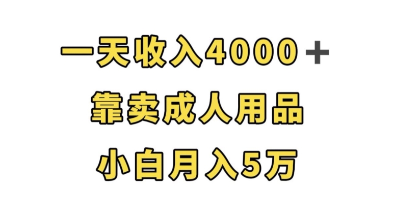 （第3536期）一天收入4000+，靠卖成人用品，小白轻松月入5万