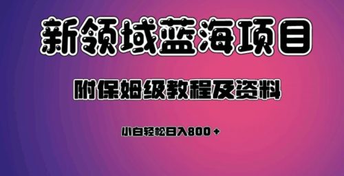 （第3768期）虚拟资源蓝海领域新项目，轻松日入800＋，附保姆级教程及资料