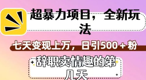 （第3847期）超暴利项目，全新玩法（辞职卖情趣的第几天），七天变现上万，日引500+粉