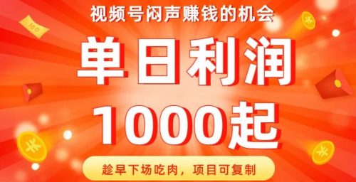 （第3975期）视频号闷声赚钱的机会，趁早下场吃肉，项目可复制，单日利润1000起