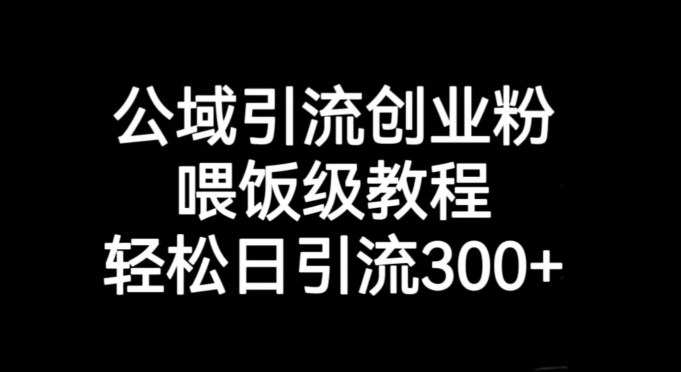 （第3951期）公域引流创业粉，喂饭级教程，轻松日引流300+