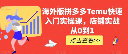 （第4310期）海外版拼多多Temu快速入门实操课，店铺实战从0到1