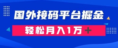 （第4579期）通过国外接码平台掘金：成本1.3，利润10＋，轻松月入1万＋