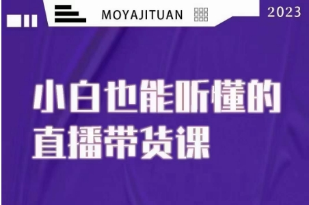 （第4564期）大威本威·能听懂的直播带货课，小白也能听懂，20节完整