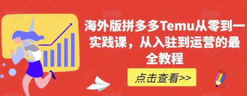 （第4506期）海外版拼多多Temu从零到一实践课，从入驻到运营的最全教程