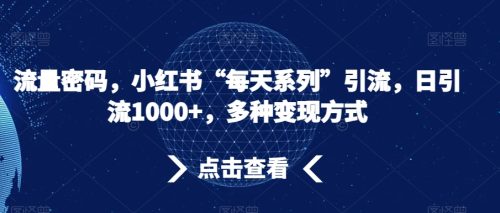 （第5078期）流量密码，小红书“每天系列”引流，日引流1000+，多种变现方式