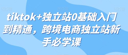 （第4598期）tiktok+独立站0基础入门到精通，跨境电商独立站新手必学课