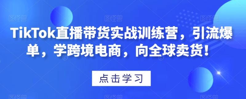 （第5036期）TikTok直播带货实战训练营，引流爆单，学跨境电商，向全球卖货！