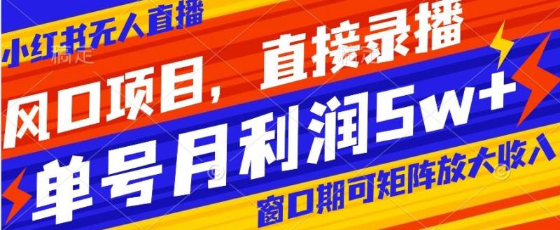 （第5015期）风口项目，小红书无人直播带货，直接录播，可矩阵，月入5w+