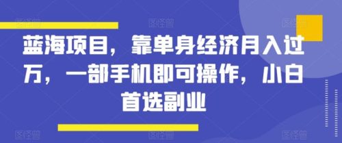 （第5108期）蓝海项目，靠单身经济月入过万，一部手机即可操作，小白首选副业