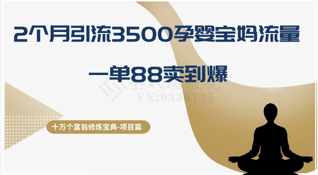 （第4956期）十万个富翁修炼宝典之13.2个月引流3500孕婴宝妈流量，一单88卖到爆