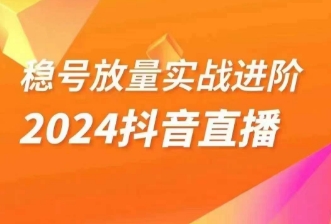 （第4910期）稳号放量实战进阶—2024抖音直播，直播间精细化运营的几大步骤