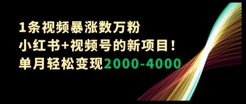 （第4984期）1条视频暴涨数万粉–小红书+视频号的新项目！单月轻松变现2000-4000