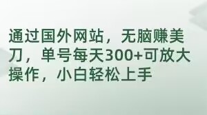 （第4754期）通过国外网站，无脑赚美刀，单号每天300+可放大操作，小白轻松上手