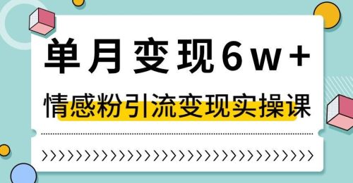 （第4739期）单月变现6W+，抖音情感粉引流变现实操课，小白可做，轻松上手，独家赛道