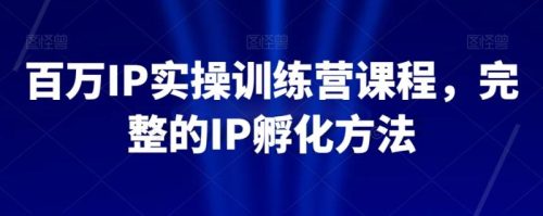 （第4890期）百万IP实操训练营课程，完整的IP孵化方法