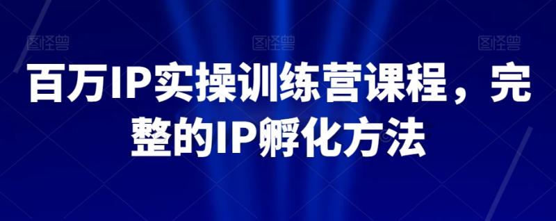 （第4890期）百万IP实操训练营课程，完整的IP孵化方法