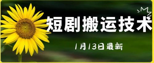 （第5388期）最新短剧搬运技术，电脑手机都可以操作，不限制机型