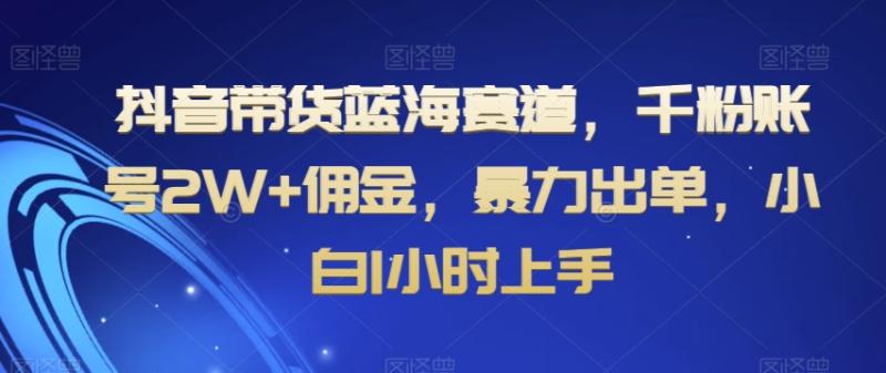 （第5184期）抖音带货蓝海赛道，千粉账号2W+佣金，暴力出单，小白1小时上手