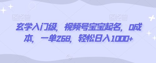 （第5849期）玄学入门级，视频号宝宝起名，0成本，一单268，轻松日入1000+