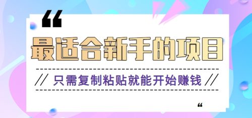 （第6148期）2024最适合新手操作的项目，新手小白只需复制粘贴就能开始赚钱【视频教程+软件】