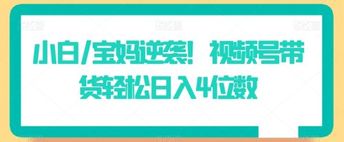 （第6079期）小白/宝妈逆袭！视频号带货轻松日入4位数