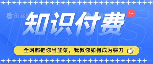 （第5978期）2024最新知识付费项目，小白也能轻松入局，全网都在教你做项目，我教你做镰刀