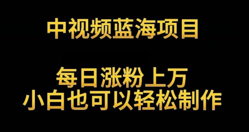 （第6443期）中视频蓝海项目，解读英雄人物生平，每日涨粉上万，小白也可以轻松制作，月入过万不是梦