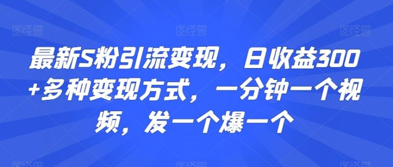 （第6230期）最新S粉引流变现，日收益300+多种变现方式，一分钟一个视频，发一个爆一个