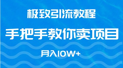 （第6359期）极致引流教程，手把手教你卖项目，月入10W+