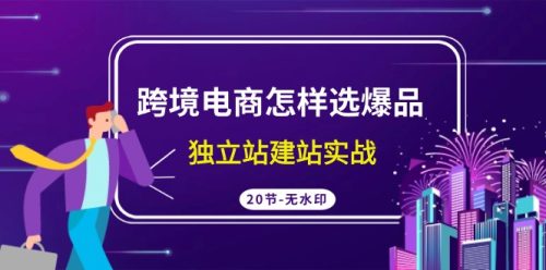 （第6510期）跨境电商怎样选爆品，独立站建站实战（20节高清无水印课）