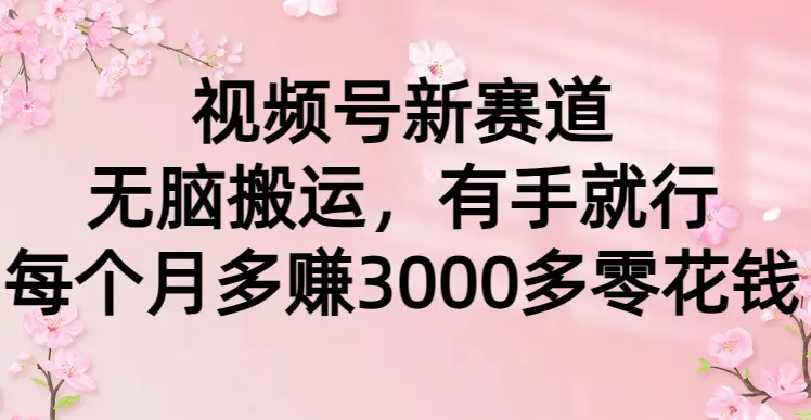 （第6368期）视频号新赛道，无脑搬运，有手就行，每个月多赚3000多零花钱